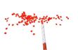 Obrázek zboží Vystřelovací konfety - plátky růží