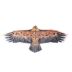Obrázek zboží Létající drak ve tvaru orla 160cm